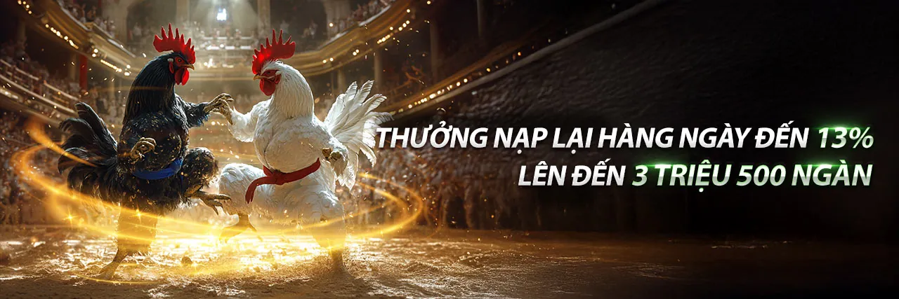 Người chia bài trực tiếp tại sbotop trang chủ chính thức